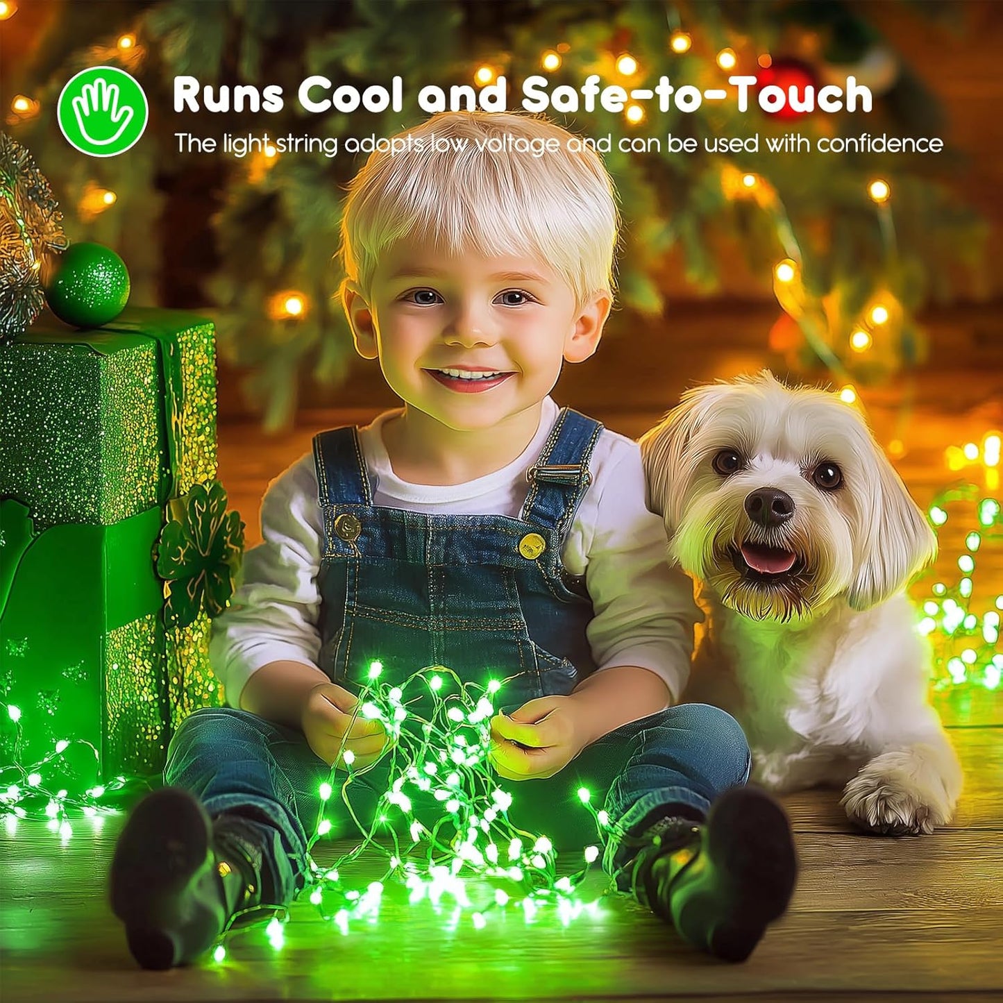 12 Pack Fairy Lights - Silver Wire, Battery Operated